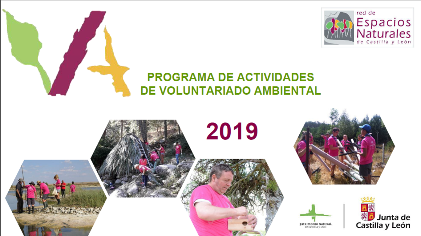 Voluntariado Ambiental 2019